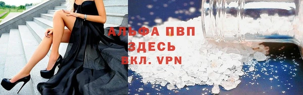 гашик Арсеньев