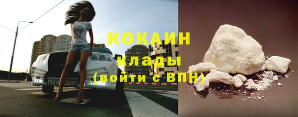 гашик Арсеньев