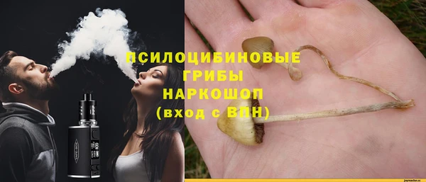 сатива Струнино