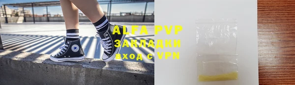 гашик Арсеньев