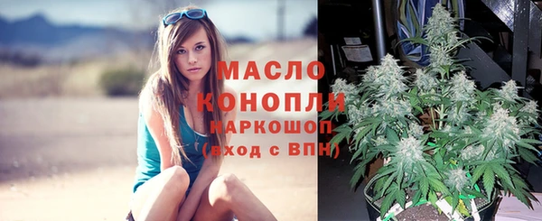 гашик Арсеньев