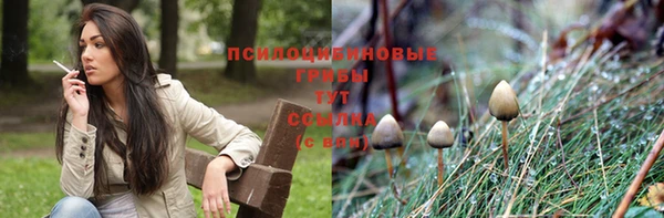 твердый Армянск