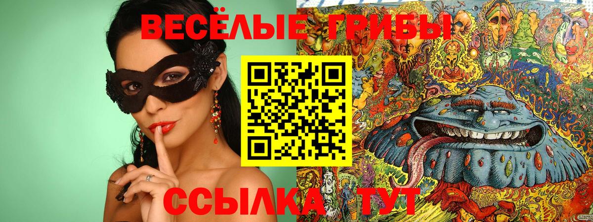 Псилоцибиновые грибы Psilocybe Гай