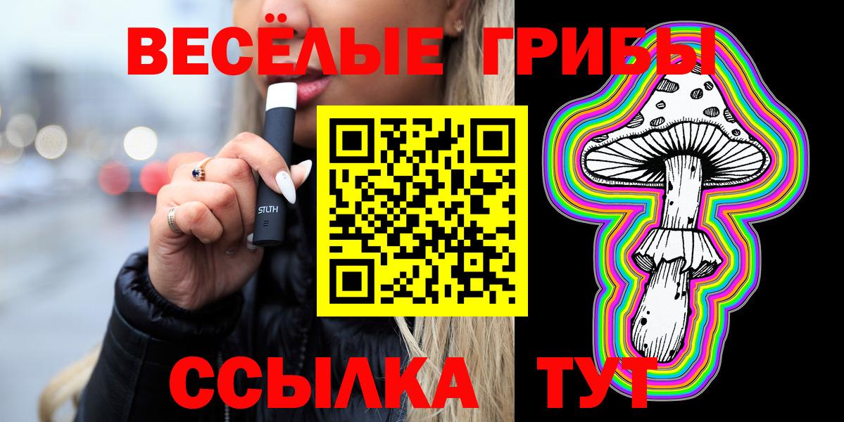 Гай  Псилоцибиновые грибы GOLDEN TEACHER  где купить наркоту  Вход с VPN  Галлюциногенные грибы MAGIC MUSHROOMS 