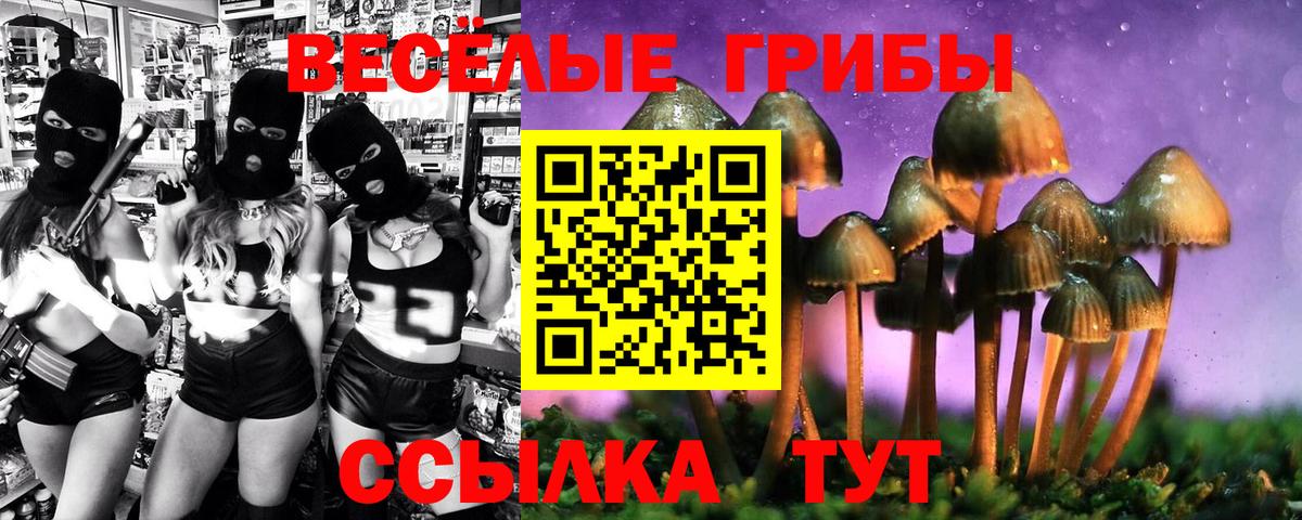 Псилоцибиновые грибы мухоморы Гай