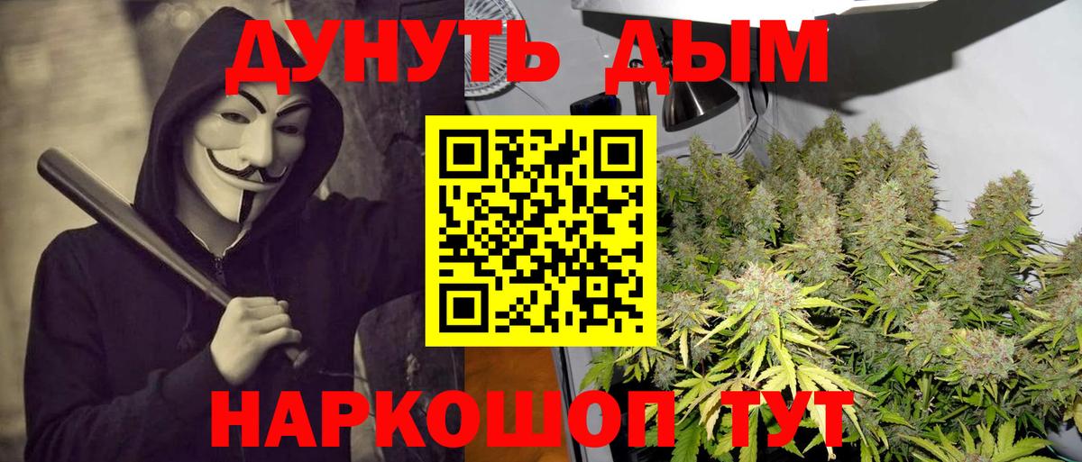 Шишки марихуана сатива  Вход с VPN  Гай  Бошки марихуана планчик  МАРИХУАНА Ganja  Шишки марихуана VHQ 