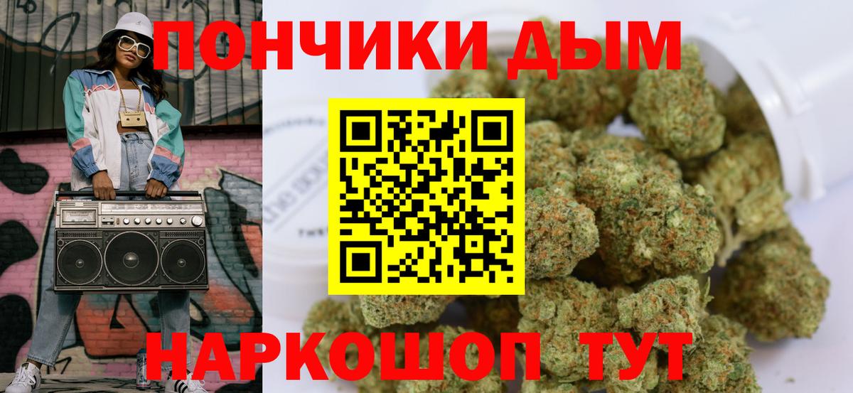 Шишки марихуана конопля Гай