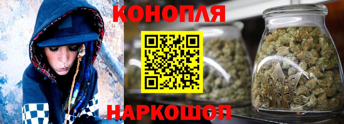 Канабис сатива Гай